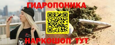 гашик Каменск-Уральский